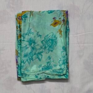 loab's mint green chiffon saree